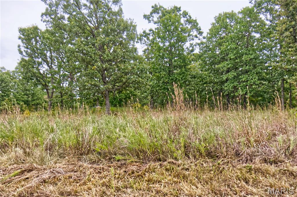 26049 Ivy Bend Road Stover, MO 65078 - Photo 23 of 41