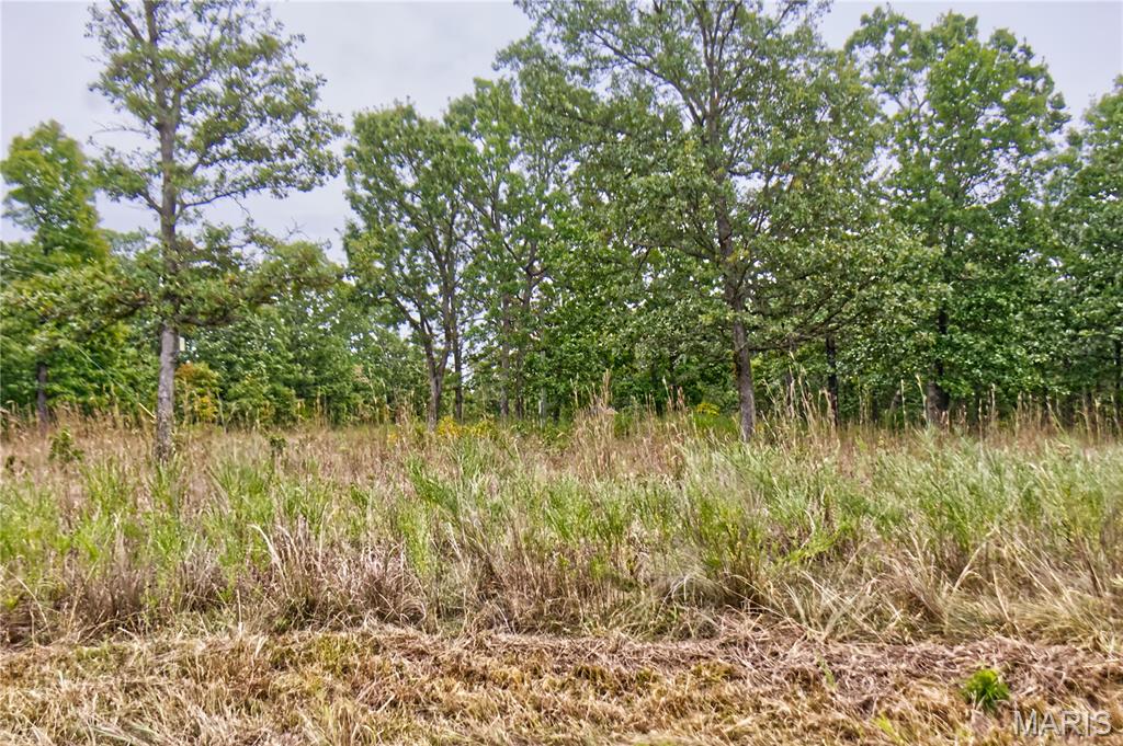 26049 Ivy Bend Road Stover, MO 65078 - Photo 24 of 41