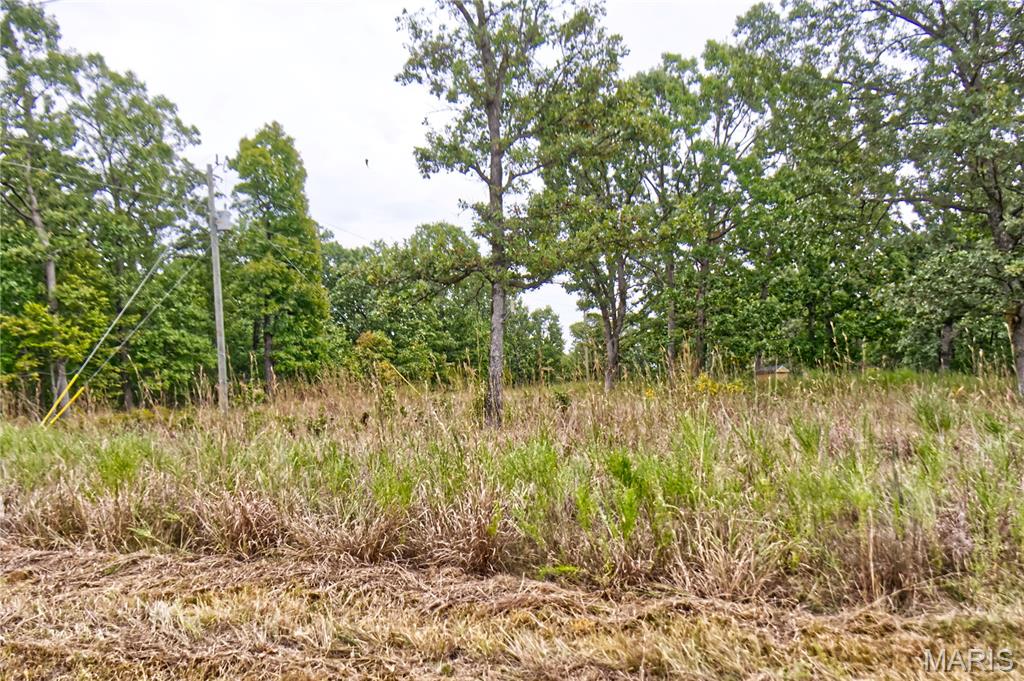 26049 Ivy Bend Road Stover, MO 65078 - Photo 25 of 41