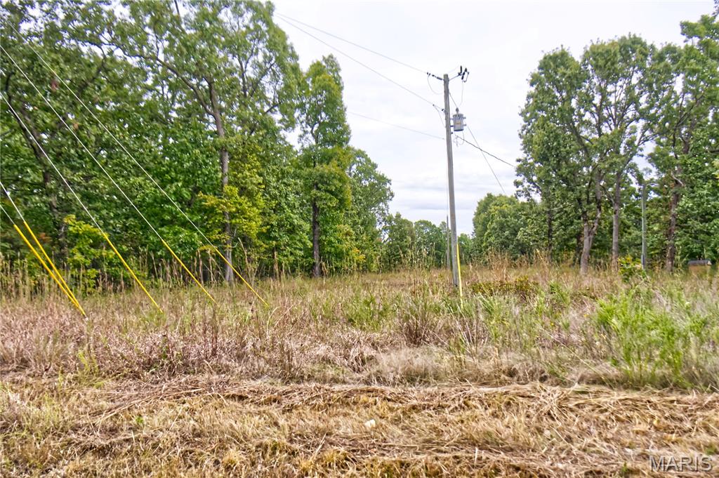 26049 Ivy Bend Road Stover, MO 65078 - Photo 27 of 41