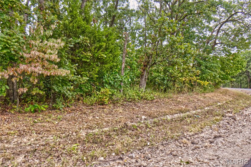 26049 Ivy Bend Road Stover, MO 65078 - Photo 28 of 41