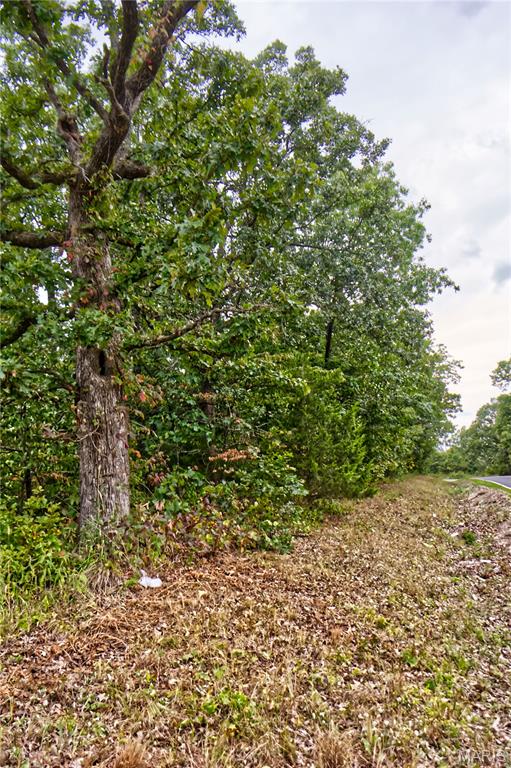 26049 Ivy Bend Road Stover, MO 65078 - Photo 30 of 41