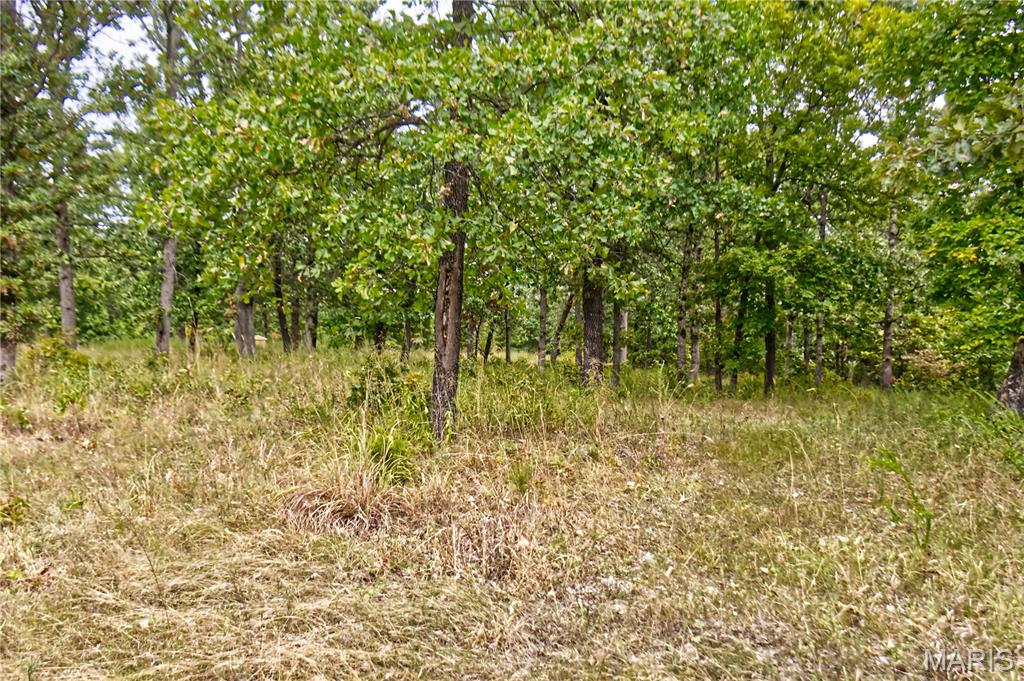 26049 Ivy Bend Road Stover, MO 65078 - Photo 3 of 41