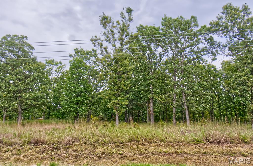 26049 Ivy Bend Road Stover, MO 65078 - Photo 36 of 41