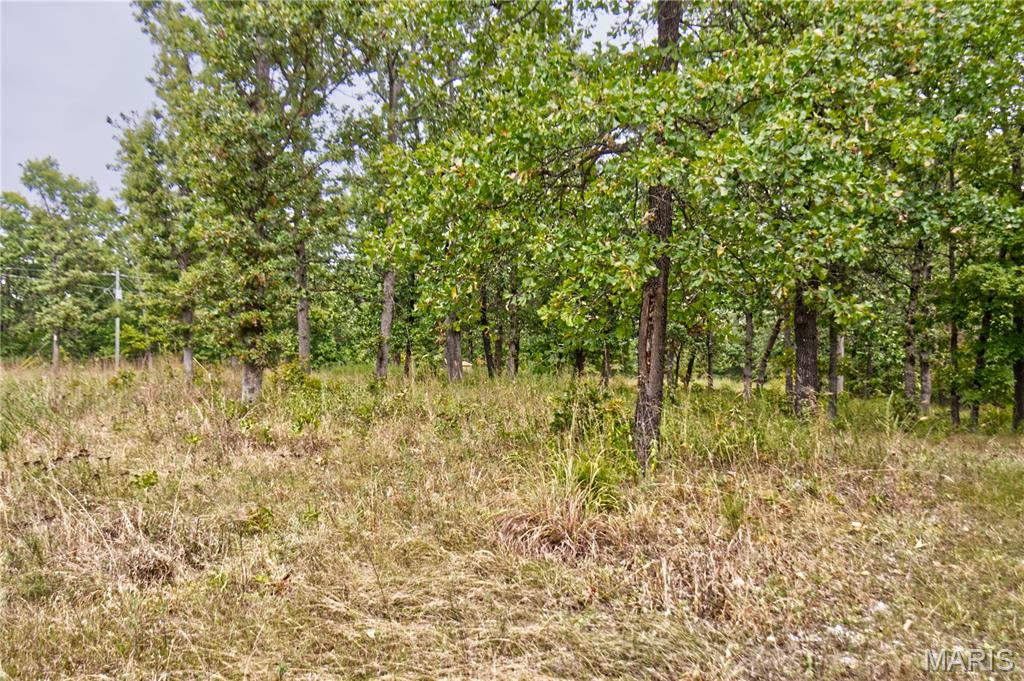 26049 Ivy Bend Road Stover, MO 65078 - Photo 4 of 41