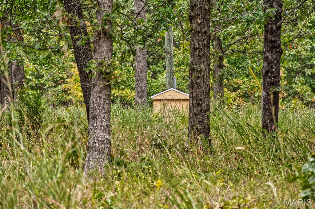 26049 Ivy Bend Road Stover, MO 65078 - Photo 5 of 41