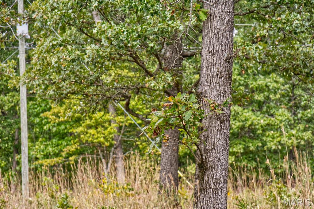 26049 Ivy Bend Road Stover, MO 65078 - Photo 6 of 41