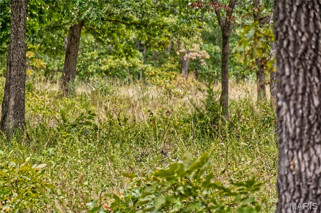 26049 Ivy Bend Road Stover, MO 65078 - Photo 7 of 41