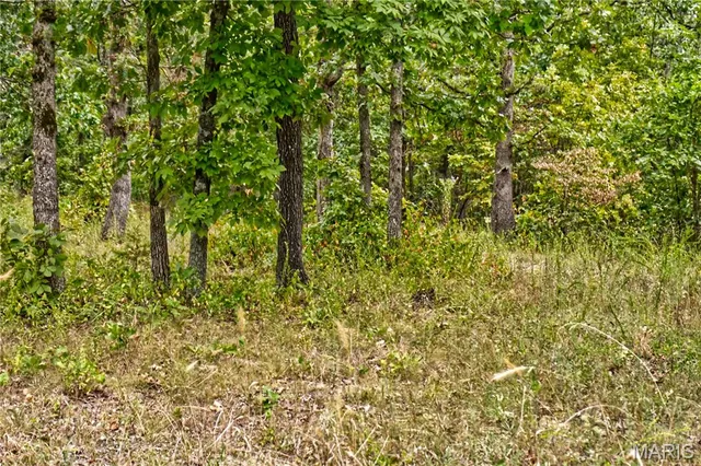 $59,900 | 26049 Ivy Bend Road, Stover, MO 65078