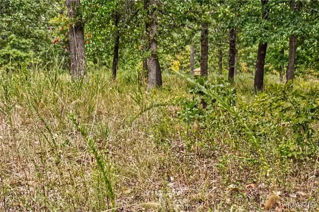 $59,900 | 26049 Ivy Bend Road, Stover, MO 65078