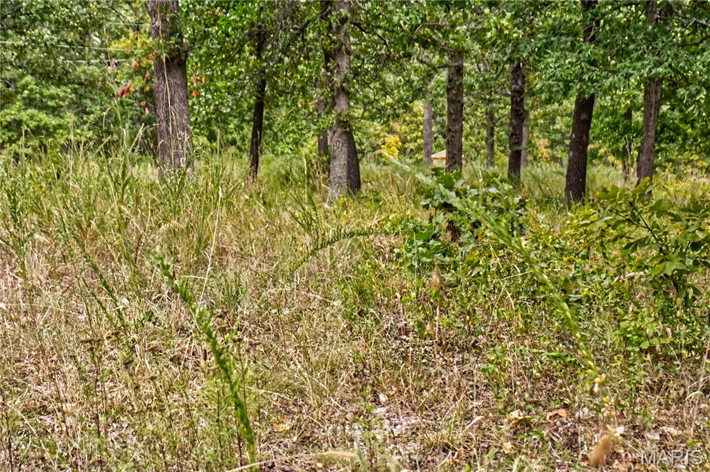 26049 Ivy Bend Road Stover, MO 65078 - Photo 9 of 41