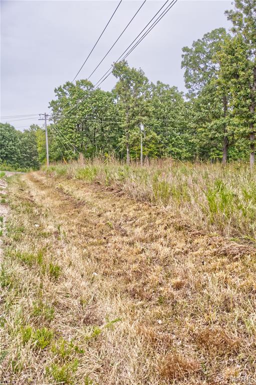 26049 Ivy Bend Road Stover, MO 65078 - Photo 10 of 41