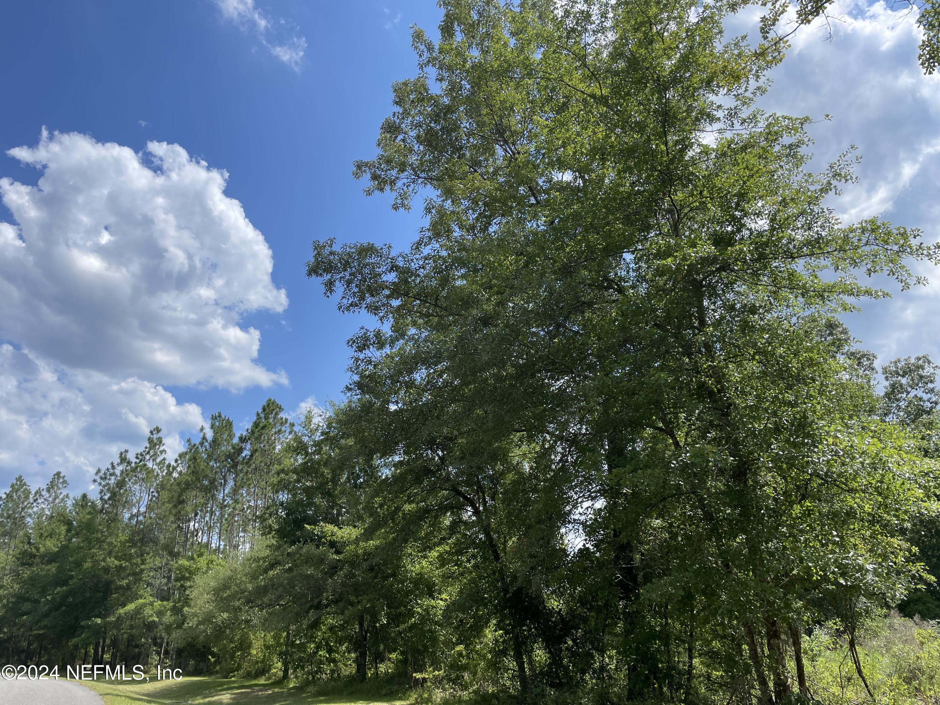 15421 Bullock Bluff Road Bryceville, FL 32009 - Photo 11 of 22 IMG_5799