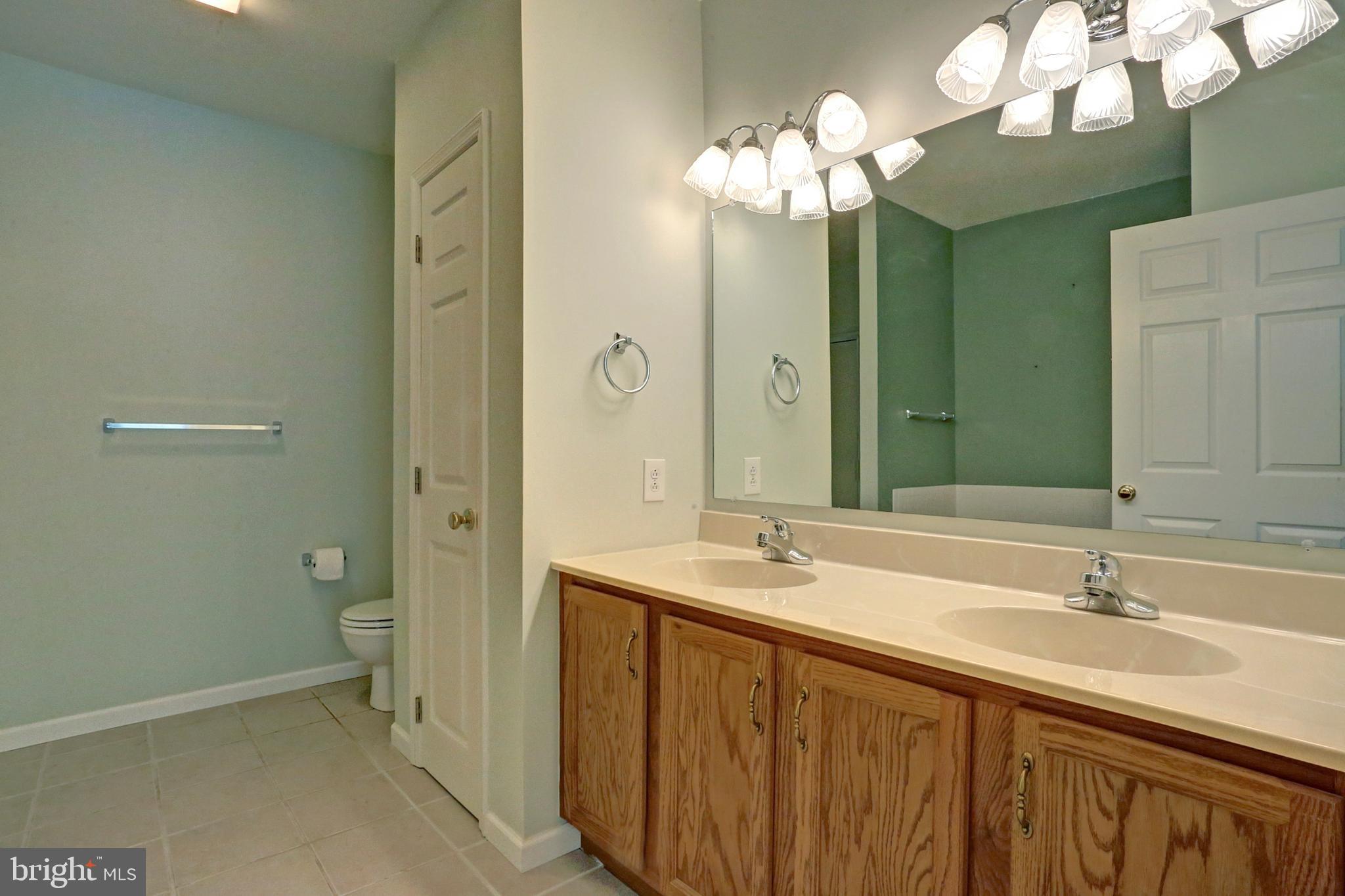 4605 Deer Path Road Harrisburg, PA 17110 - Photo 13 of 21 Master Bath