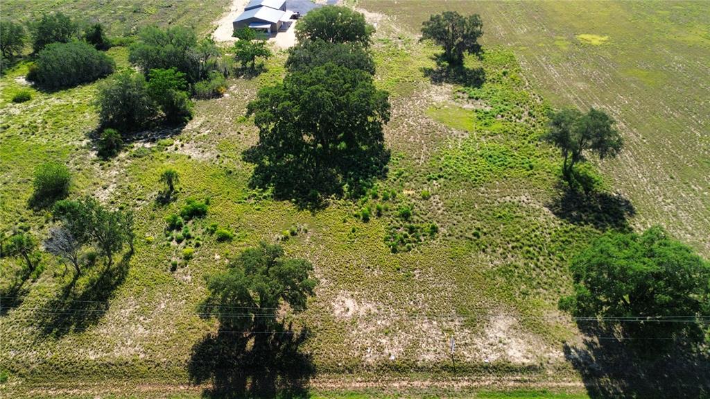 27 Us Highway Sebring, FL 33876 - Photo 6 of 7 a view of a garden