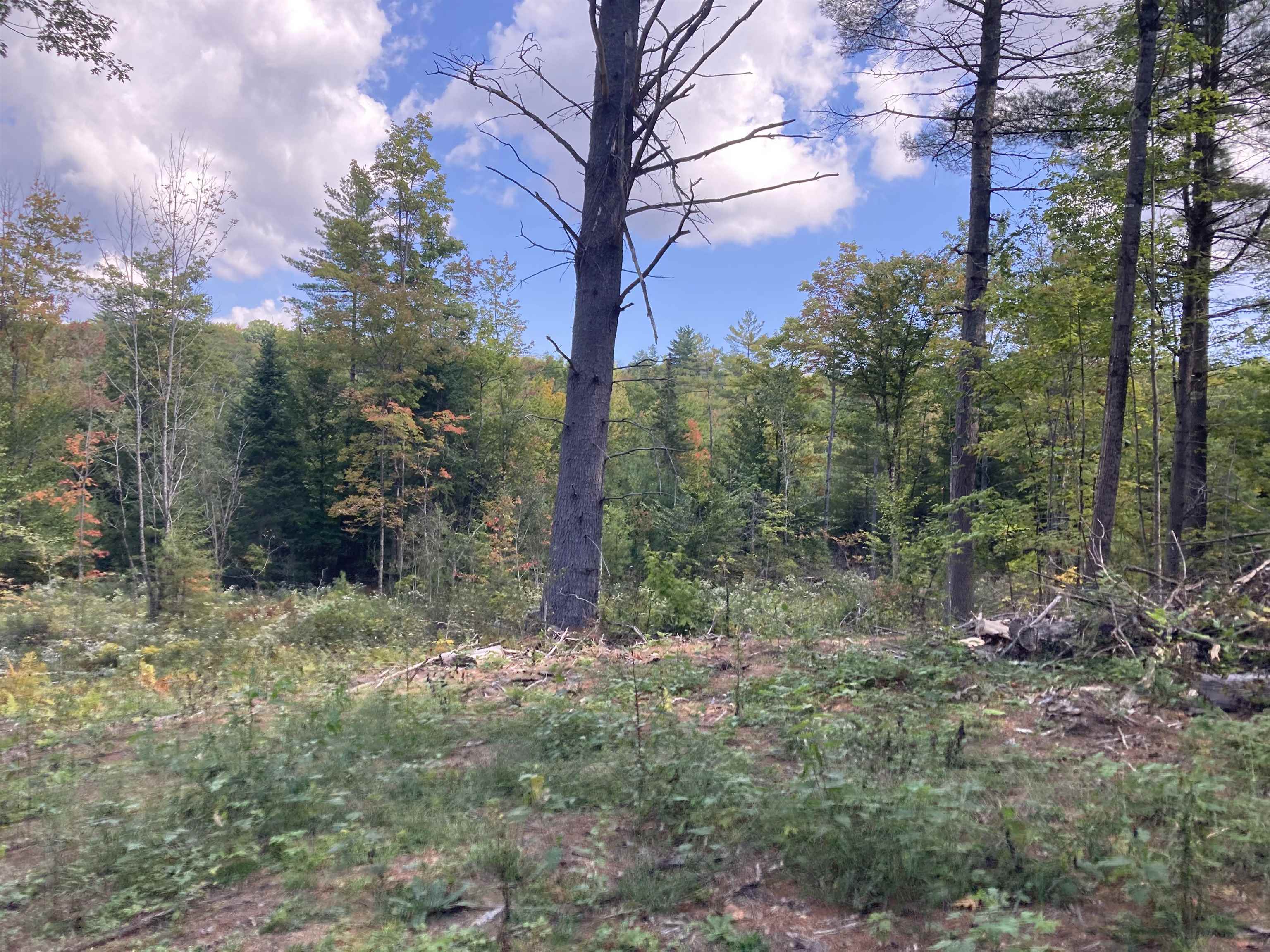 0 Razor Hill Road Grafton, NH 03240 - Photo 5 of 6