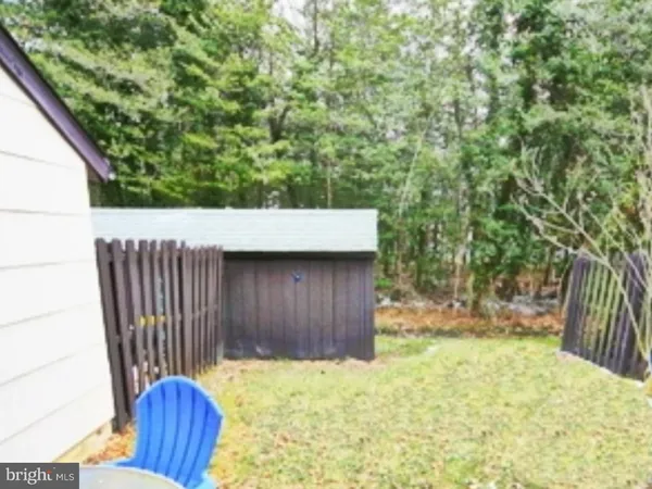 a view of a backyard with a tree
