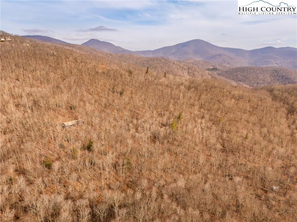1395 Grady Winkler Road Boone, NC 28607 - Photo 21 of 50 Gallery Image 21