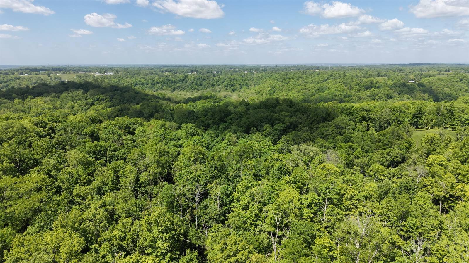 8185 Camp Ernst Road Burlington, KY 41005 - Photo 8 of 8 008-Aerial-Photo-8