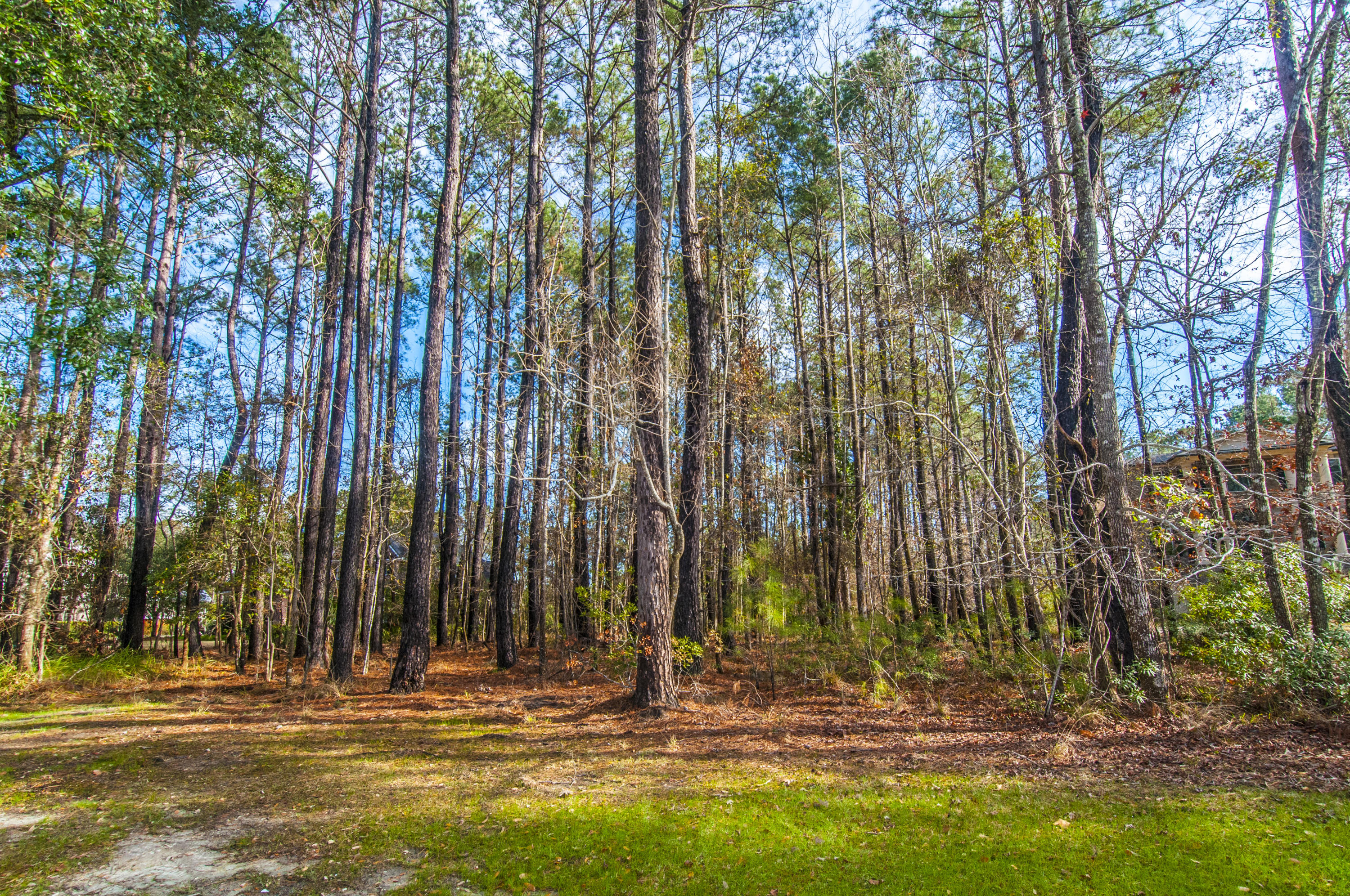 1841 Shell Ring Circle Mount Pleasant, SC 29466 - Photo 2 of 26 _DSC1903