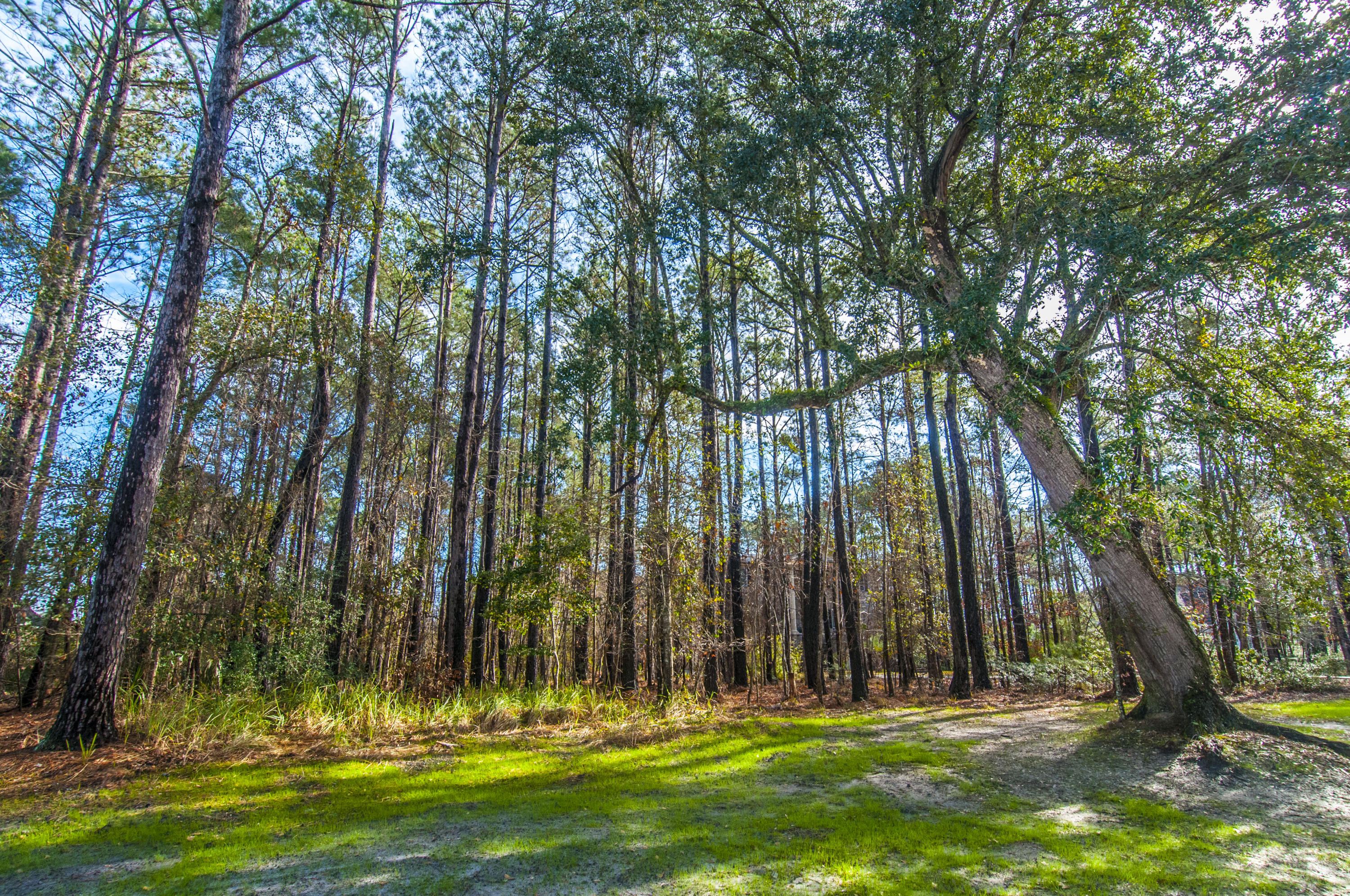 1841 Shell Ring Circle Mount Pleasant, SC 29466 - Photo 3 of 26 _DSC1907