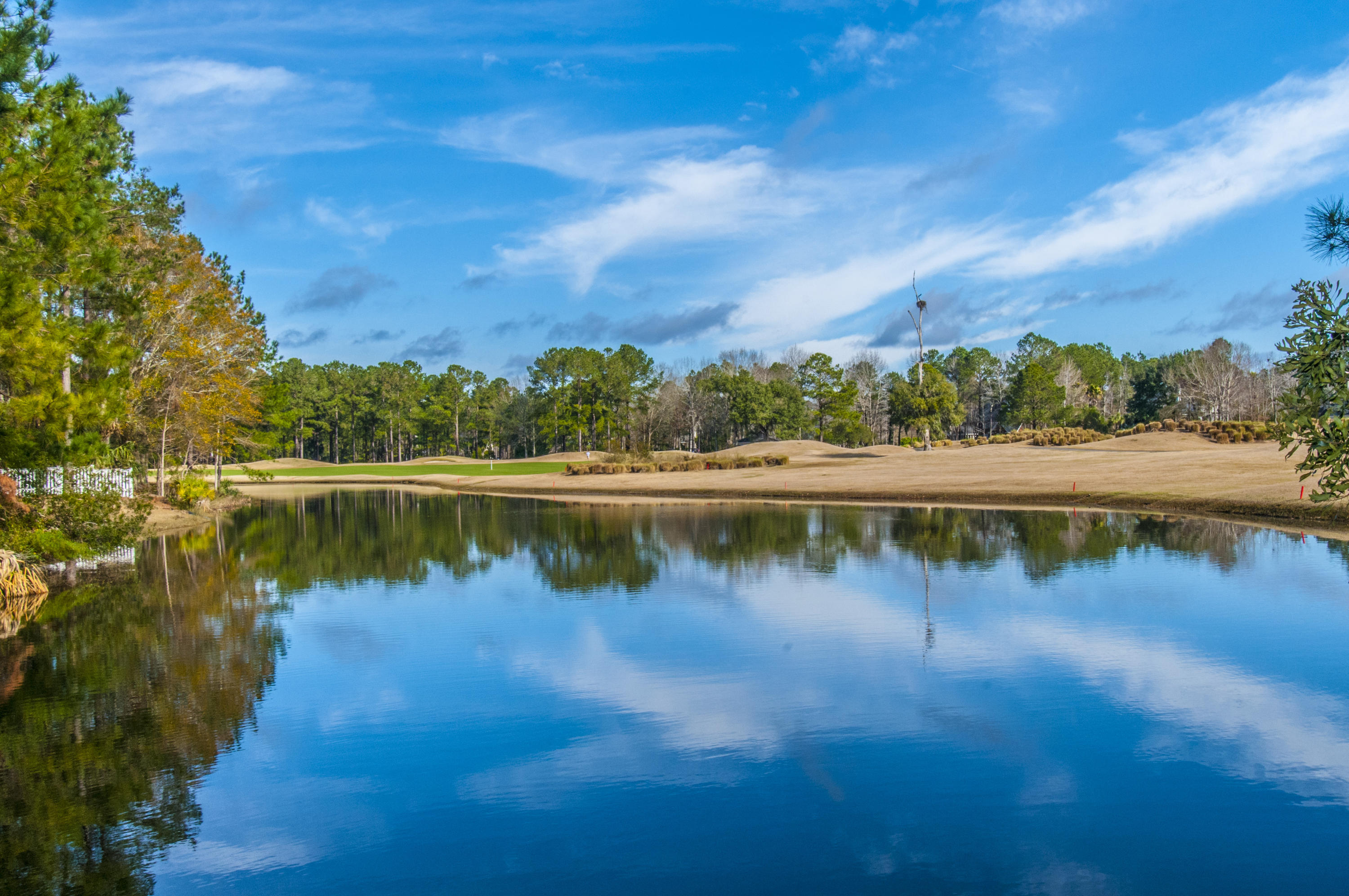 1841 Shell Ring Circle Mount Pleasant, SC 29466 - Photo 5 of 26 _DSC1911
