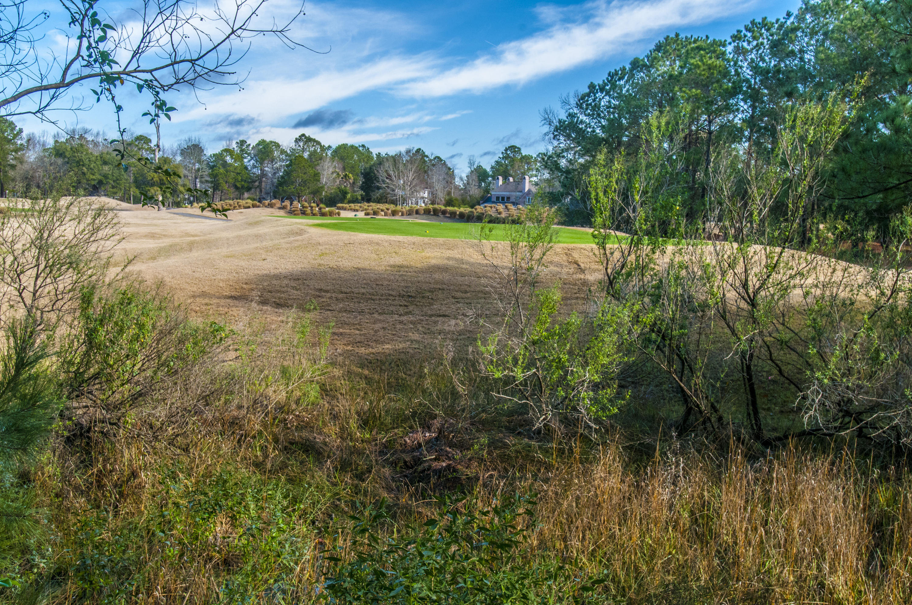 1841 Shell Ring Circle Mount Pleasant, SC 29466 - Photo 6 of 26 _DSC1916