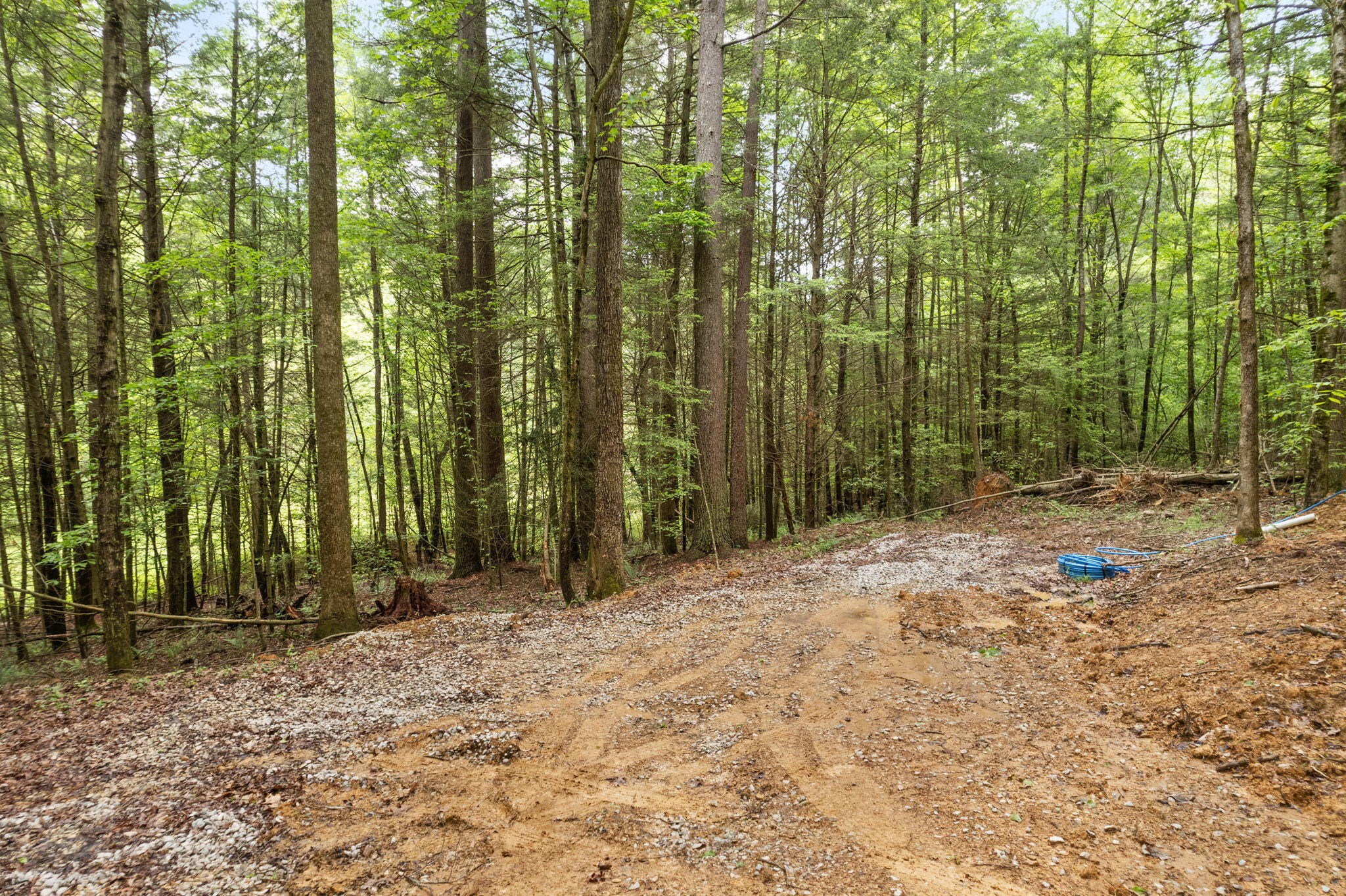 1 Clay-Alexander Road Campton, KY 41301 - Photo 24 of 34 25-web-or-mls-DJI_0250