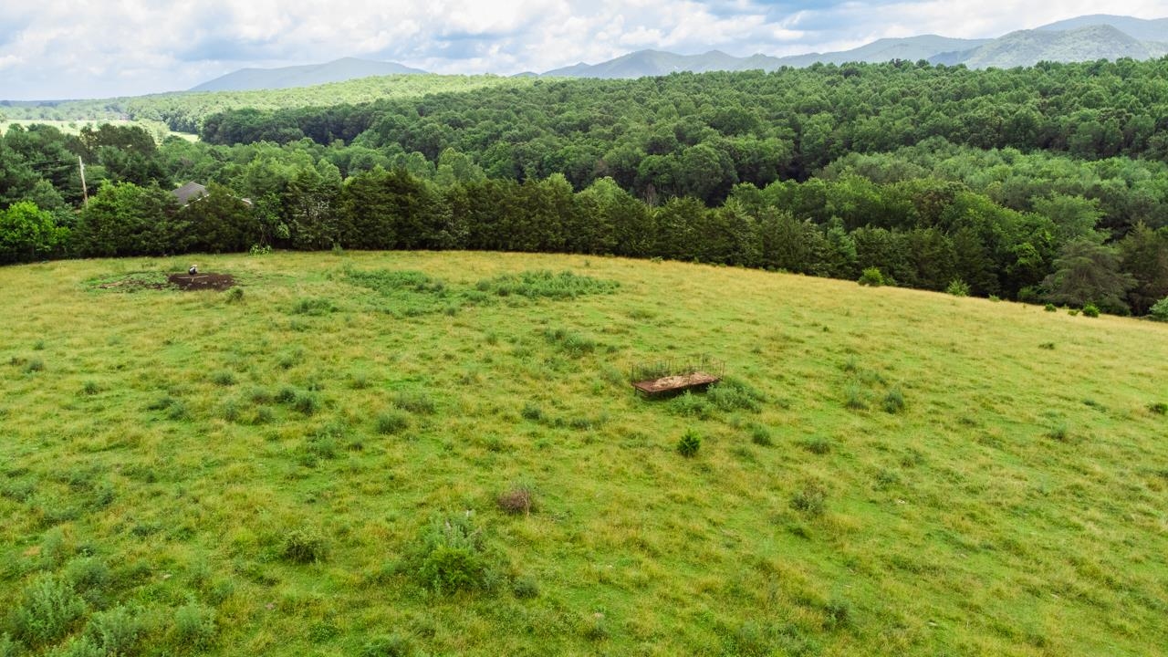 Tbd Tem Lane Raphine, VA 24472 - Photo 12 of 51 a view of a green field with lots of bushes