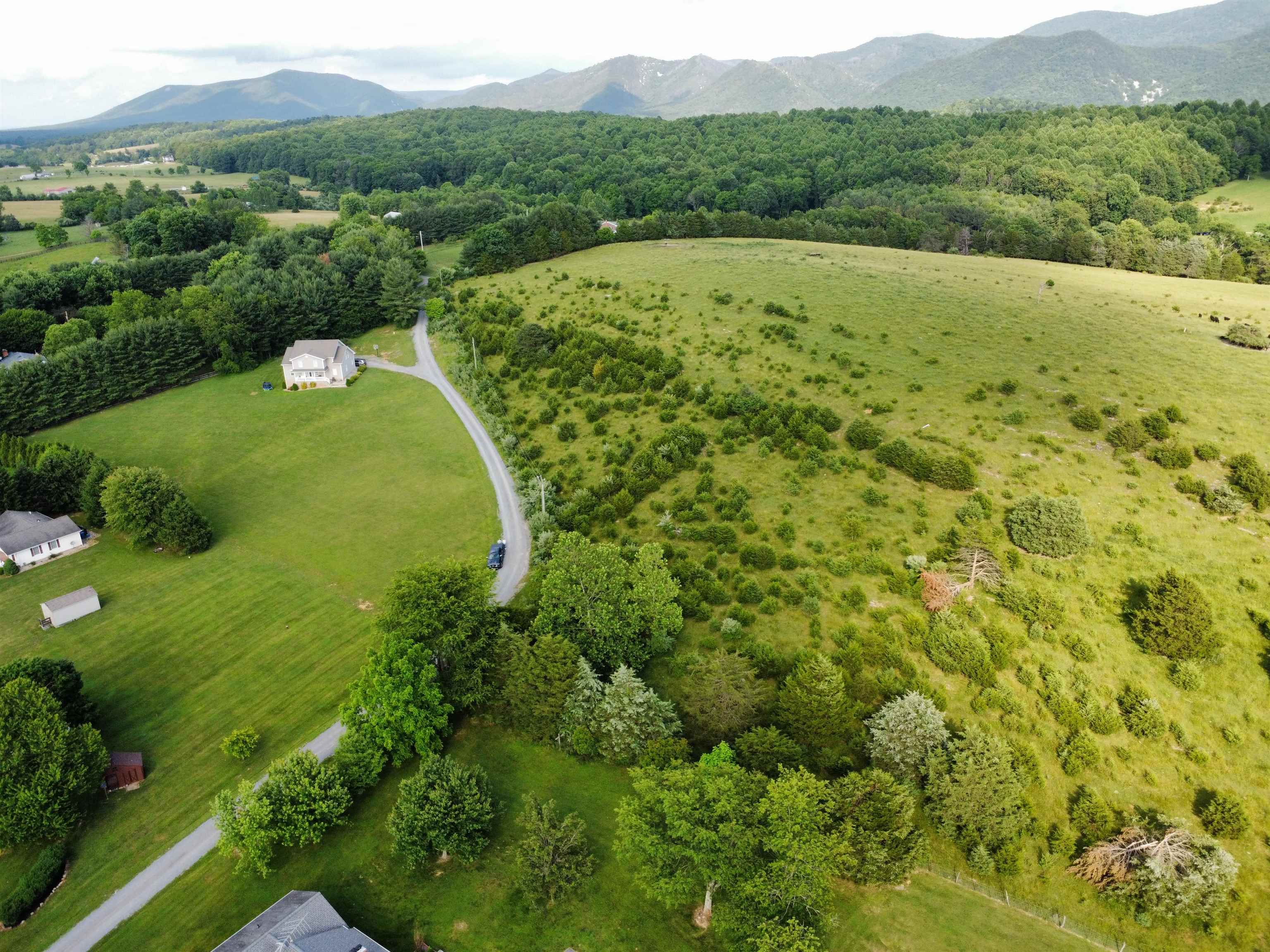 Tbd Tem Lane Raphine, VA 24472 - Photo 3 of 51 a view of a lush green hillside and a houses