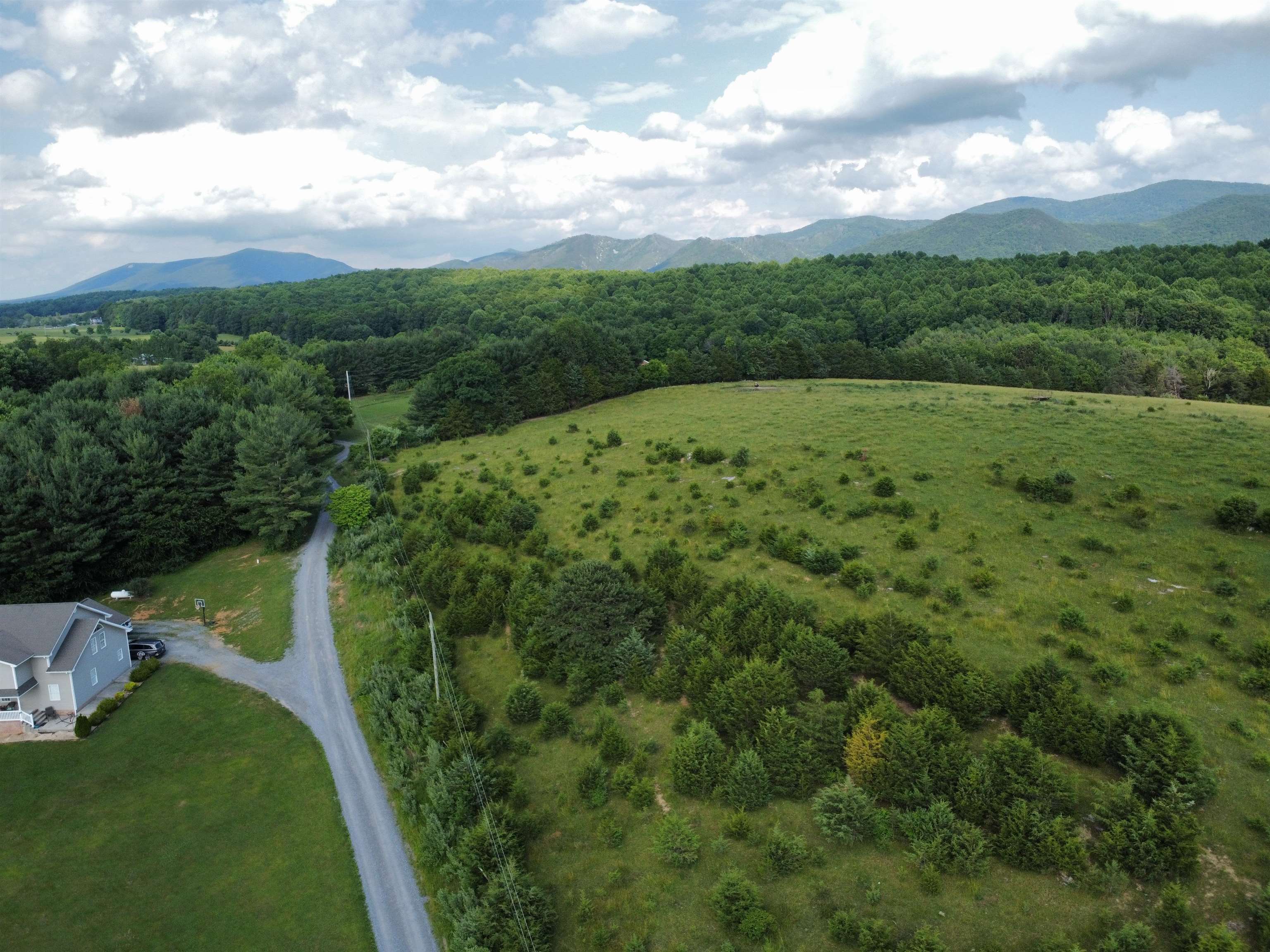 Tbd Tem Lane Raphine, VA 24472 - Photo 4 of 51 a view of a green field with lots of bushes