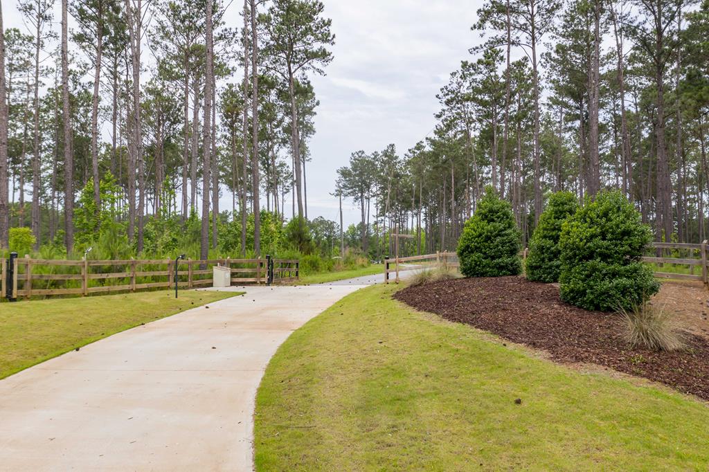 11702 Dallas Mill Road Pine Mountain, GA 31822 - Photo 11 of 70 Gallery Image 11