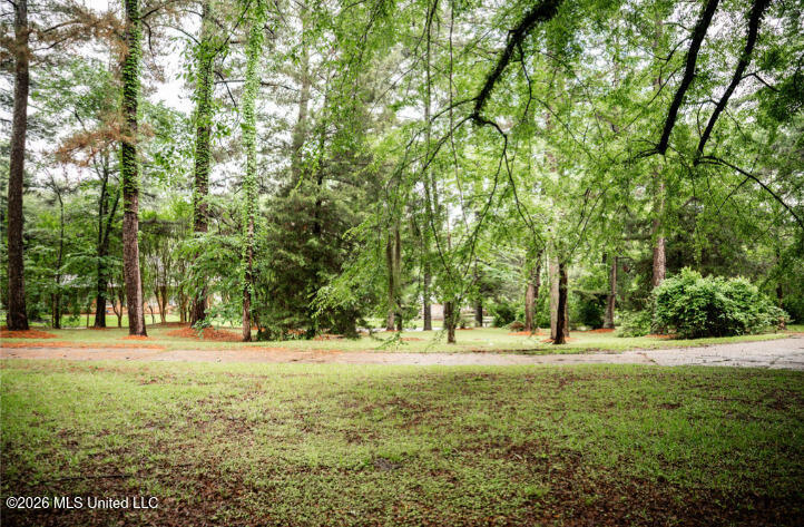 108 Dana Road Natchez, MS 39120 - Photo 43 of 46 42
