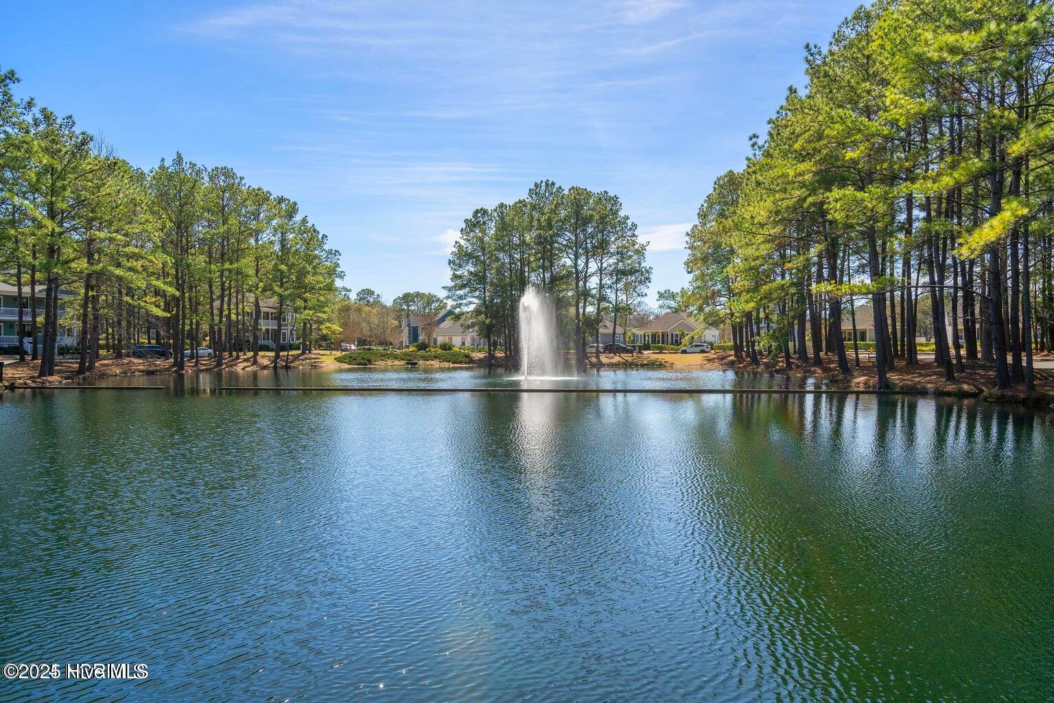 9204 Hutton Heights Way Southwest Calabash, NC 28467 - Photo 50 of 66 Devaun Park Lake 3