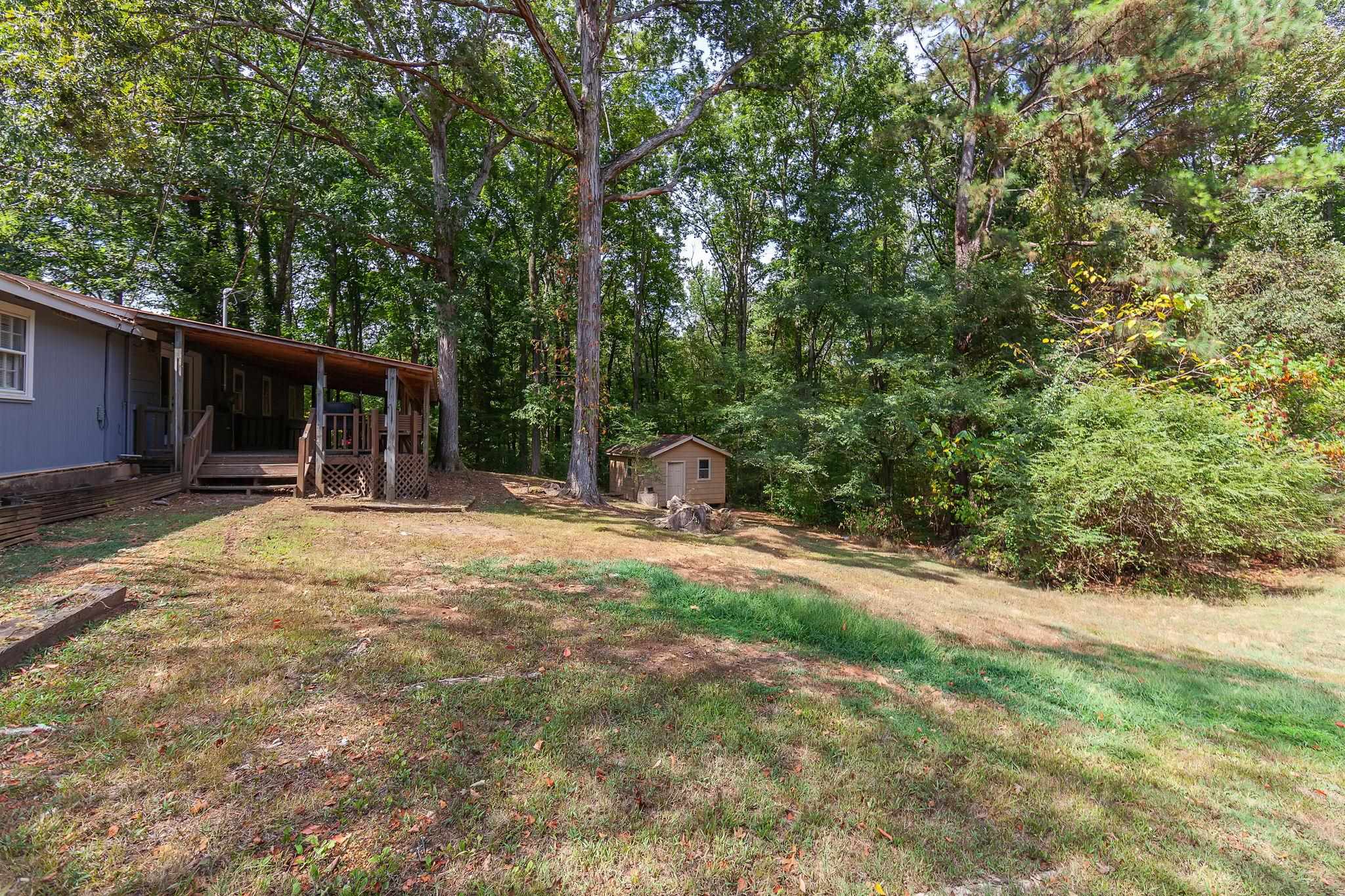 795 Burnett Mills Road Bolivar, TN 38008 - Photo 23 of 29 a backyard of a house with a large tree