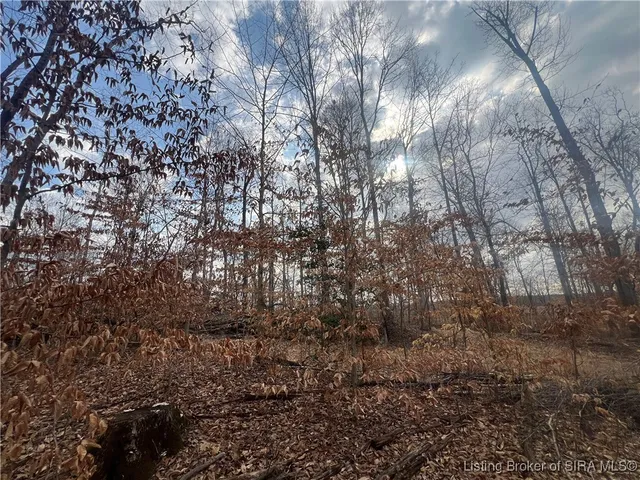 $60,000 | 0 Hwy 135, Unit TRACT 3, New Salisbury, IN 47161