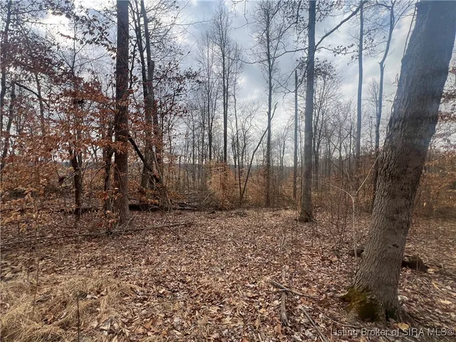 $60,000 | 0 Hwy 135, Unit TRACT 3, New Salisbury, IN 47161