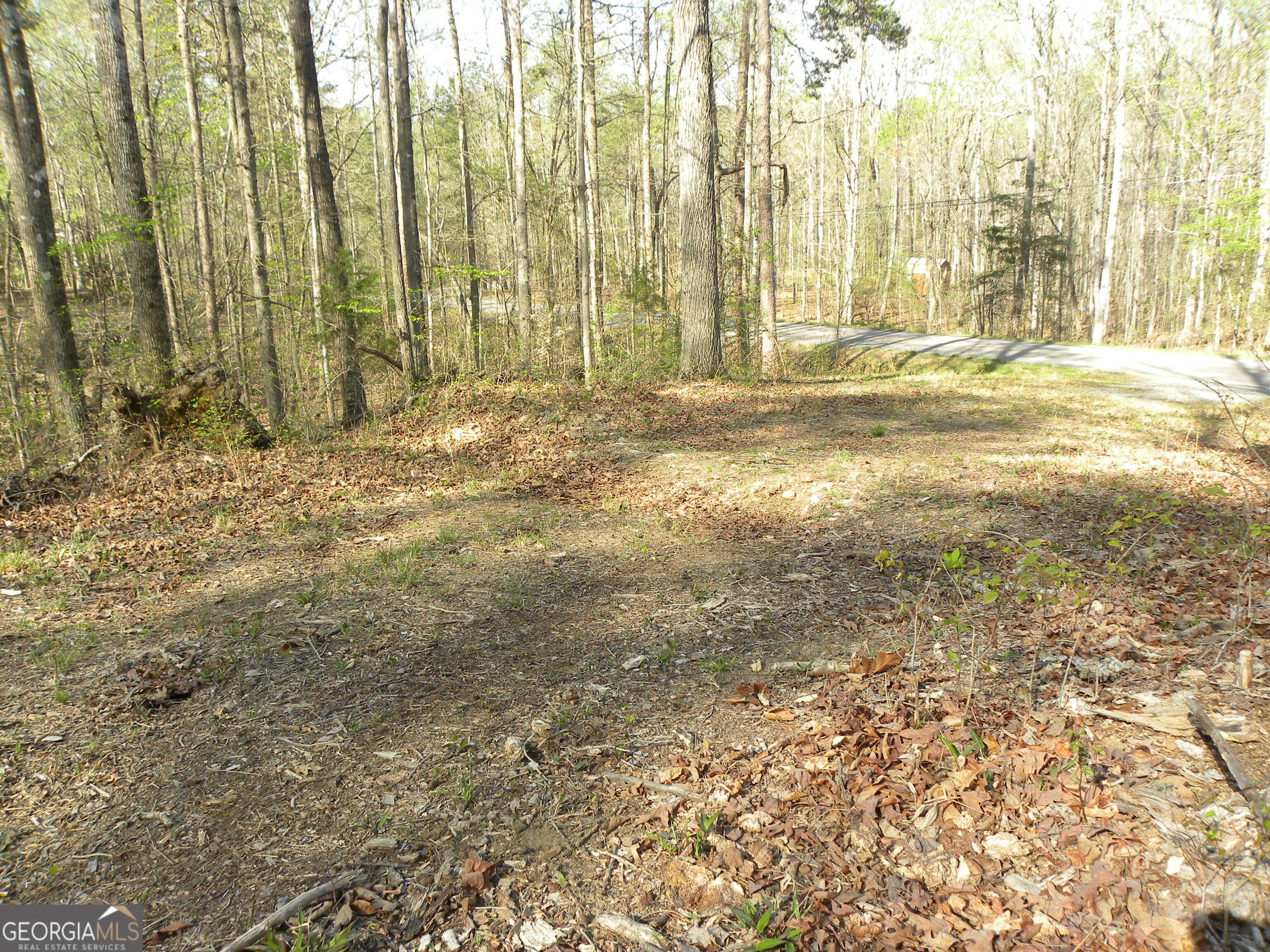 1323 Seven Forks Road Martin, GA 30557 - Photo 17 of 24
