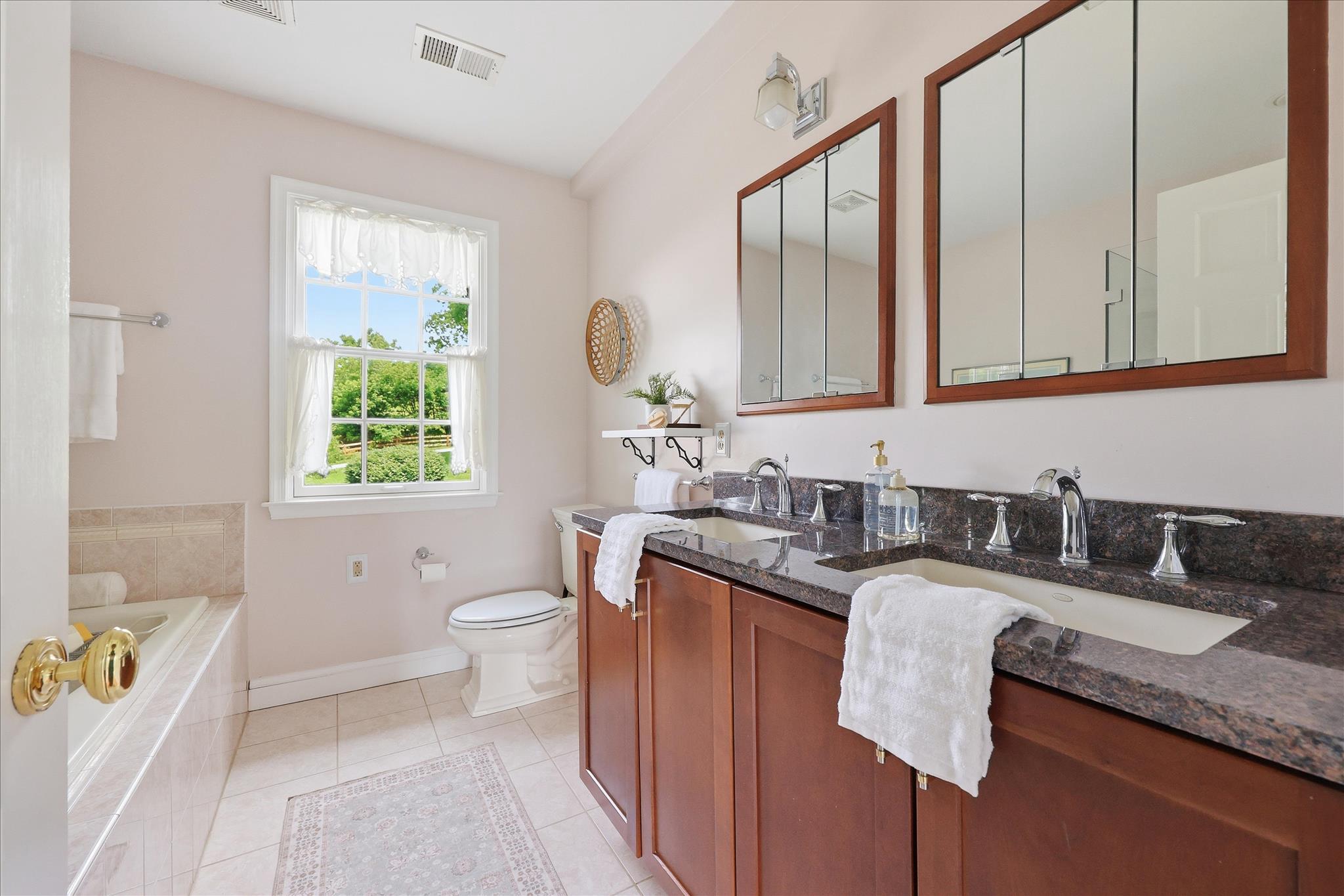 10919 Etzler Mill Road Woodsboro, MD 21798 - Photo 25 of 54 a bathroom with a granite countertop sink a toilet and mirror