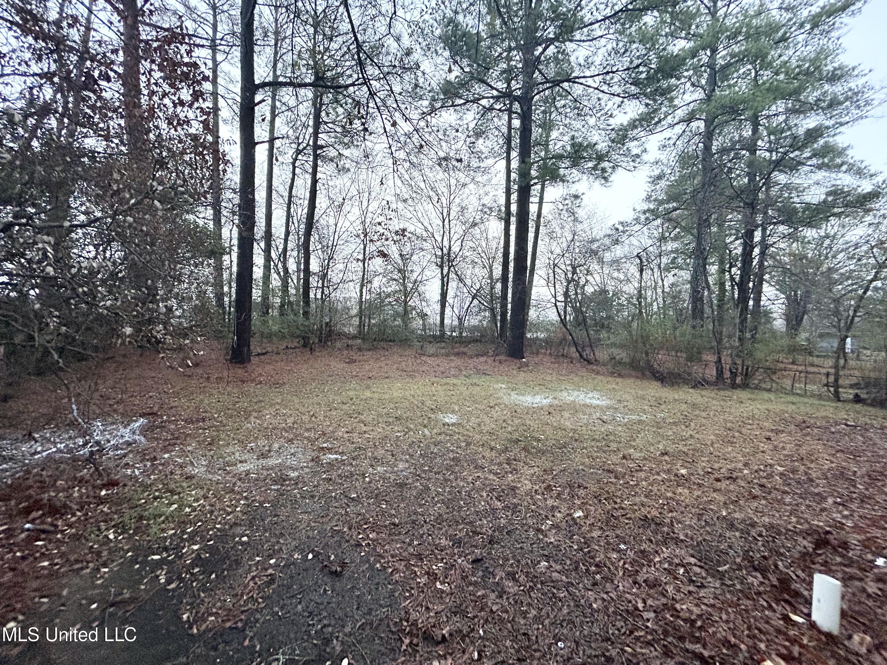 1722 Hampton Street Jackson, MS 39209 - Photo 10 of 10 Backyard