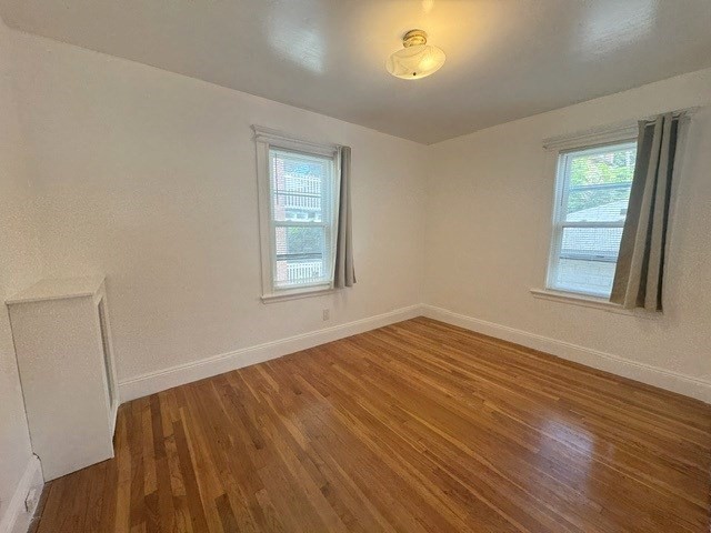 19 Hatherly Road, Unit 1 Boston, MA 02135 - Photo 16 of 18 Gallery Image 16