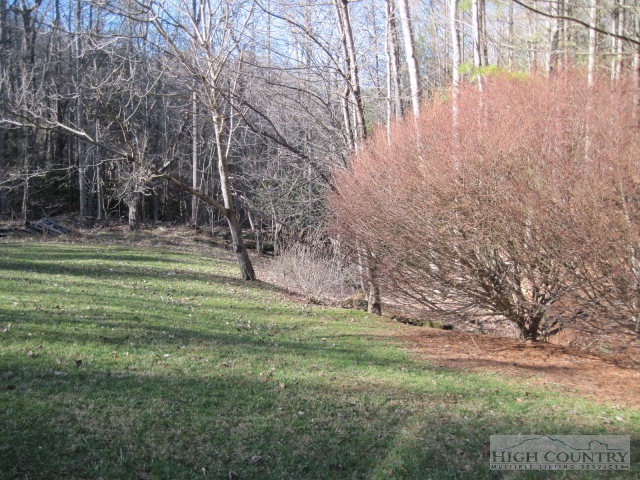 958 C Deep Ford Road Lansing, NC 28643 - Photo 5 of 5 a backyard of a house with lots of green space