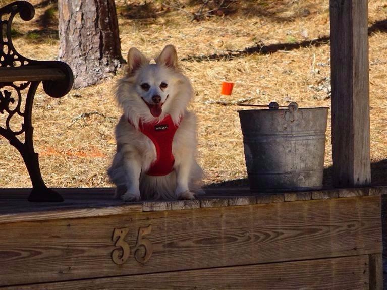 35 Harrison Street Wellfleet, MA 02667 - Photo 9 of 35 Additional Photo