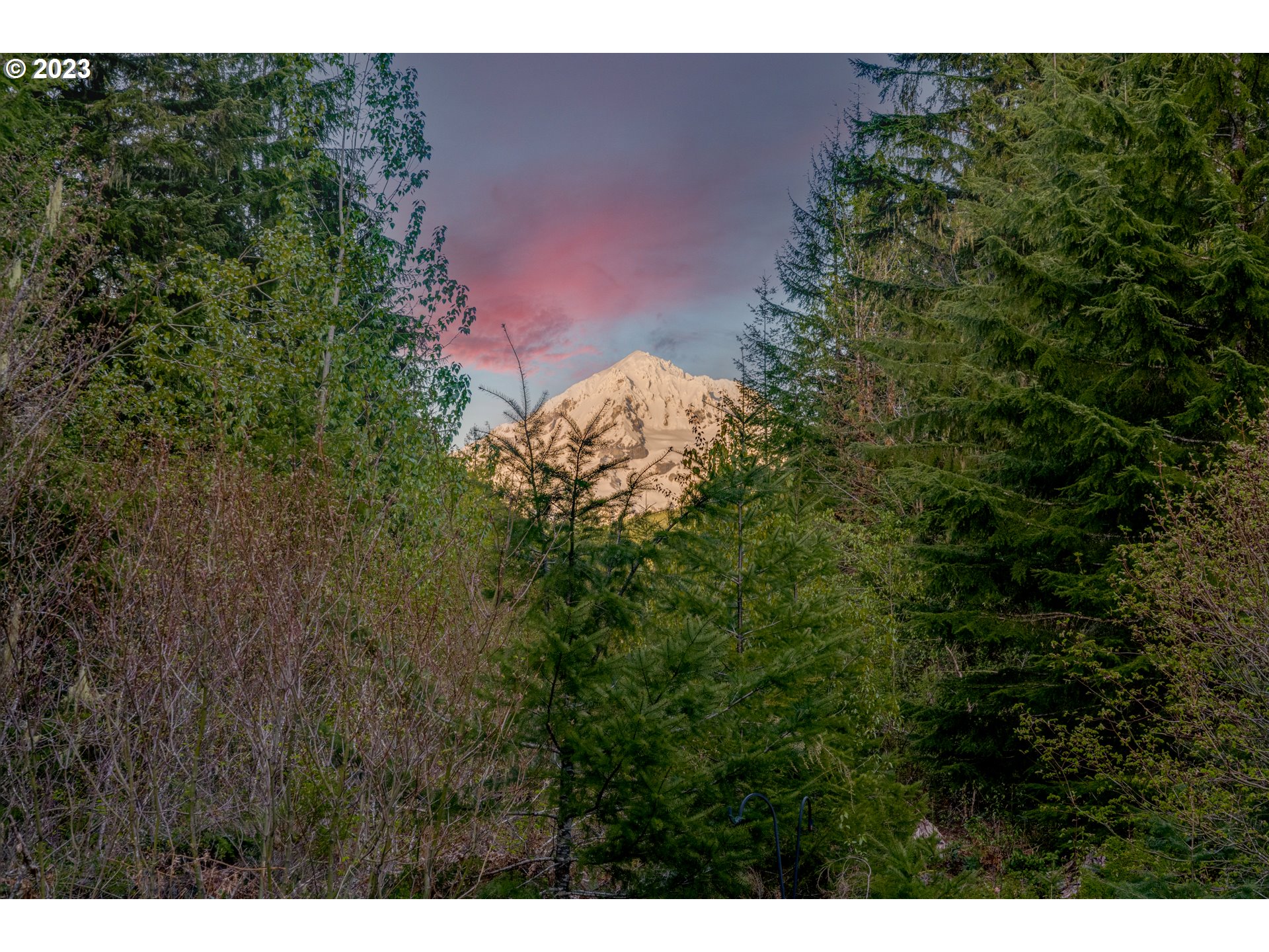 20715 East Glacier View Road Rhododendron, OR 97049 - Photo 10 of 41 a view of a yard