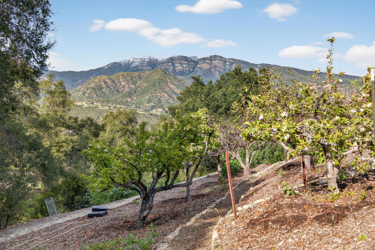 11400 Topa Vista Road Santa Paula, CA 93060 - Photo 39 of 41