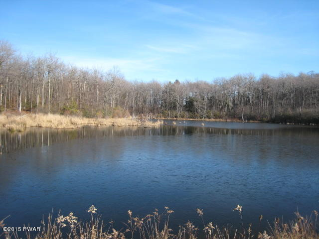 1050 Ravnikar Road Forest City, PA 18421 - Photo 15 of 28