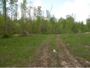 0 North Delaware Road Batesville, IN 47006 - Photo 5 of 5 Gallery Image 5