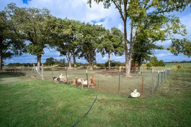 a view of a house with a backyard