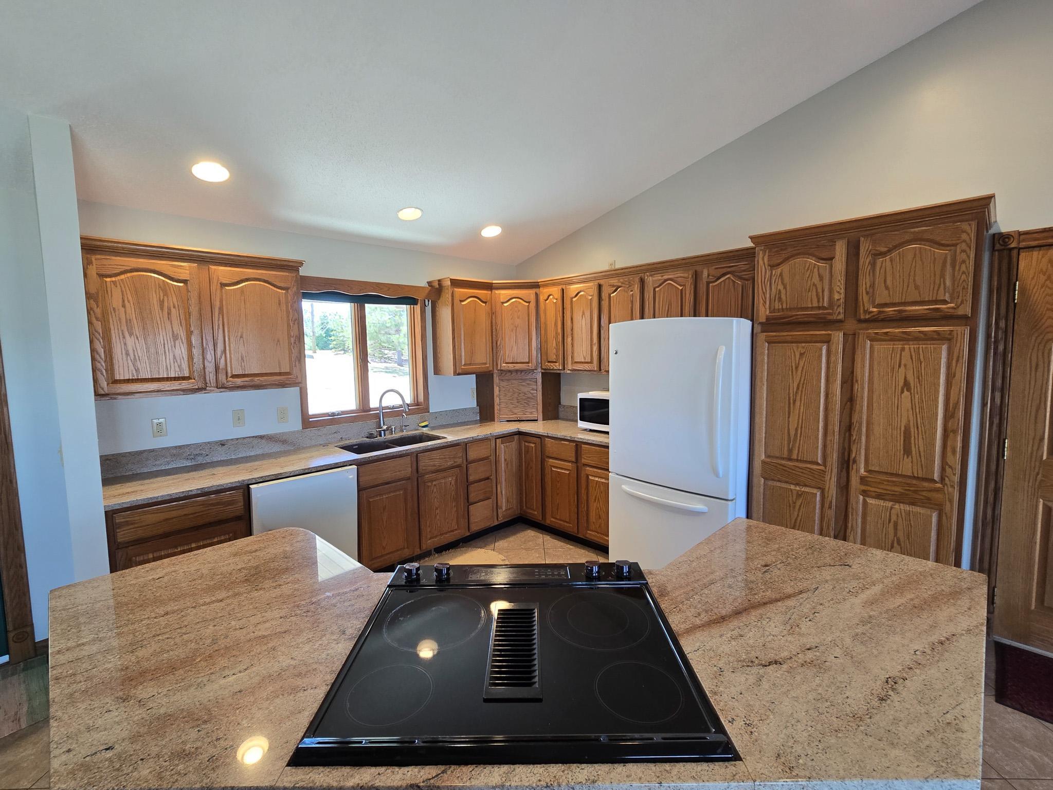 45586 Sunnybrook Trail Vergas, MN 56587 - Photo 2 of 33