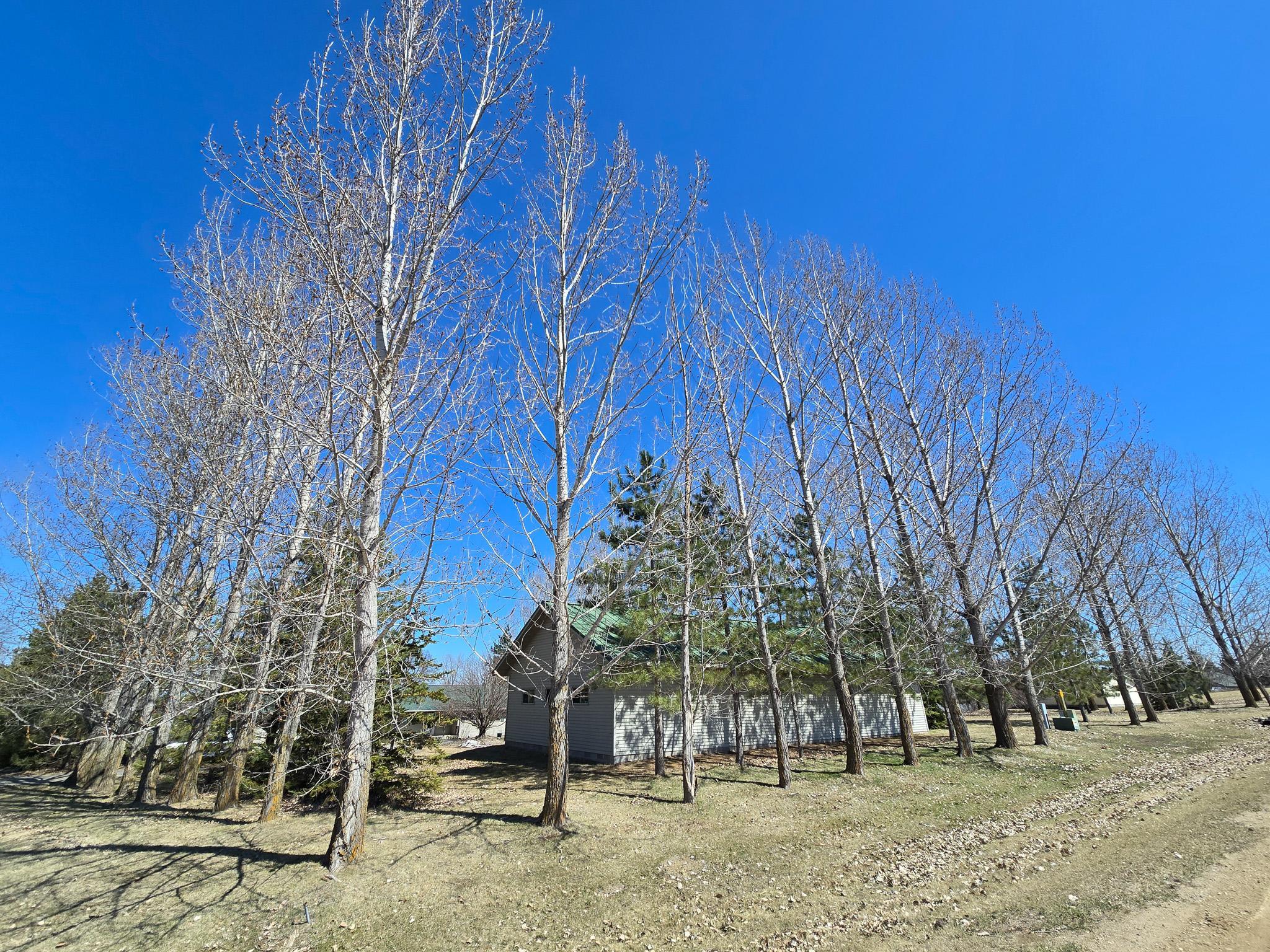 45586 Sunnybrook Trail Vergas, MN 56587 - Photo 33 of 33